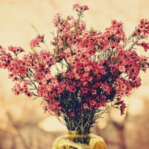 Dyah Oktavia profile icon