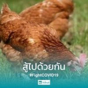 AK Farm profile icon