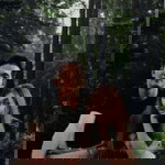 Jade Ann Castillon profile icon