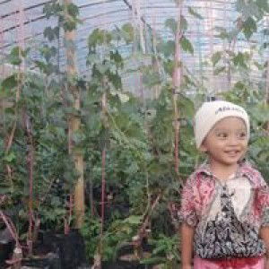 Ulfi Mukhofifah profile icon