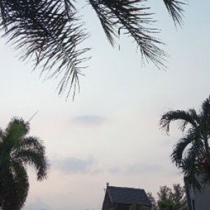 Halimah Tu Salehah profile icon