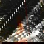 Orawan Anl profile icon