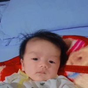 Desi Miranda Sari profile icon