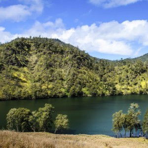 Fenny Puspitasari profile icon