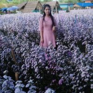 ในคืนหนาวแสง ดาวยังอุ่น profile icon