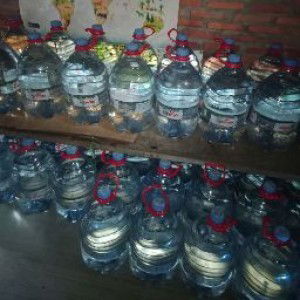 Sandra Nursanti profile icon