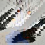 Aira Fazira profile icon