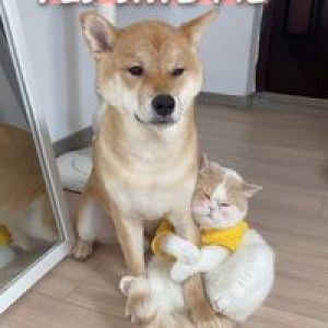 Dragun Dragun profile icon