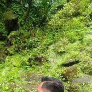 irma solikatul laili profile icon