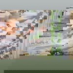 Siinta Rahayu profile icon