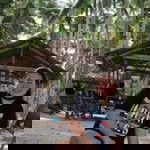 Judy Ann profile icon