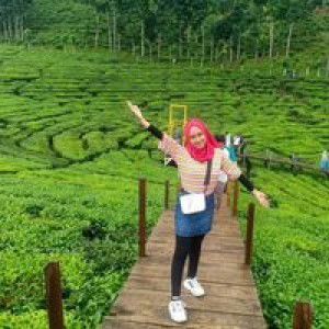 DyhRstu profile icon