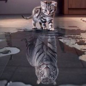 Ela Nurlaela profile icon