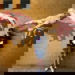 ซ้อเบญ โรงสเก๊ต profile icon