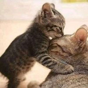 Winda Swary profile icon