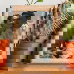 ชไมพร มาเนียม profile icon