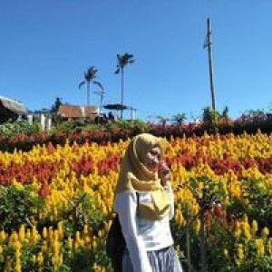 Nur Aycha profile icon