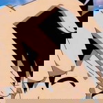 karizz anne manabat florita profile icon