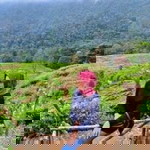 Aindi Diaz profile icon