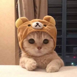 Siti Fatimah profile icon