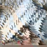 Taqiyyah Utami profile icon