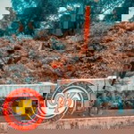 Jr Toong profile icon