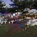 Minelle Abarientos profile icon