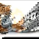 Lăng Linh Ca profile icon