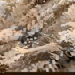 Iis Namia profile icon