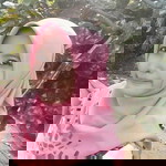 Rif'atin Aprilia profile icon