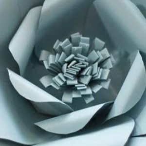 fifii kuy profile icon