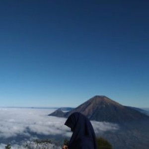 Mila Amelia Sari profile icon