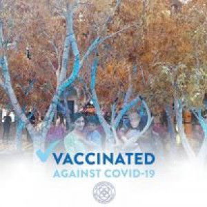 Suma Rajesh profile icon