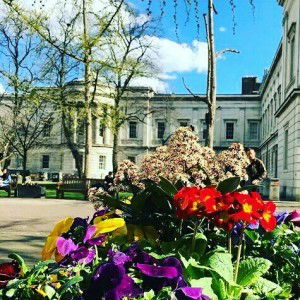 Farah Prihandini profile icon