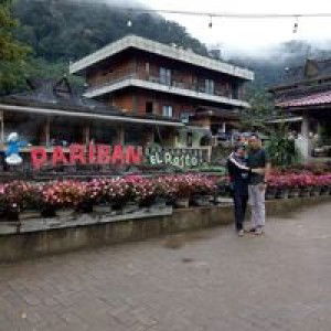 Dede Surecan profile icon