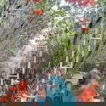 Susy Luph profile icon