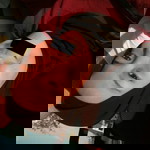 Qilah Fendy profile icon