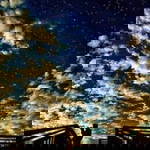 Yann Bailly profile icon