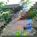 Irma Rizqi Amalia profile icon