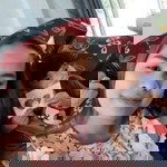 Ploy Jiraporn profile icon