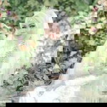 Aulia Agustina profile icon