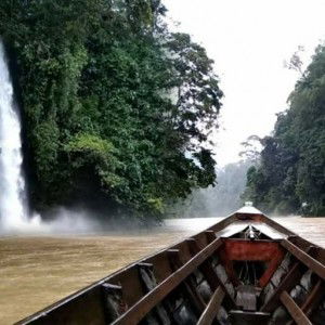 Ayu Lasmini profile icon