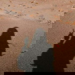 Restu Astuti profile icon