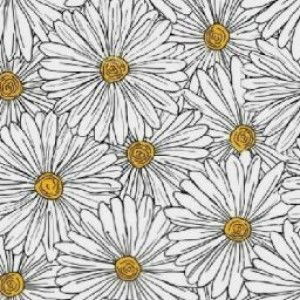 muayniCh profile icon