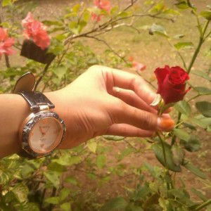 May Zahra profile icon