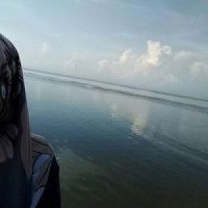 Safriyani profile icon