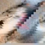 Nurdiaty Akmal Siregar profile icon