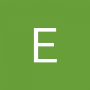 Evelyn Ong profile icon