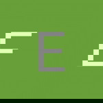 Evelyn Ong profile icon