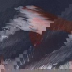 หมอย profile icon